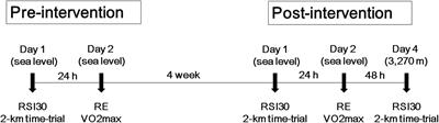 Effects of Plyometric Training on Explosive and Endurance Performance at Sea Level and at High Altitude